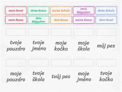 mein/meine x dein/deine