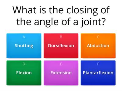 Joint Movement Quiz