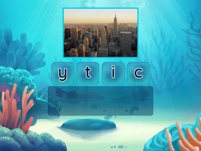 City Life, Country Life