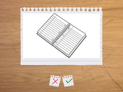 sec 1 classroom verbs and objects