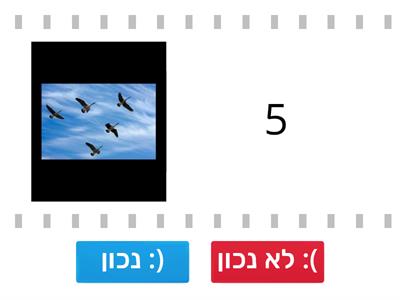 נכון או לא נכון?