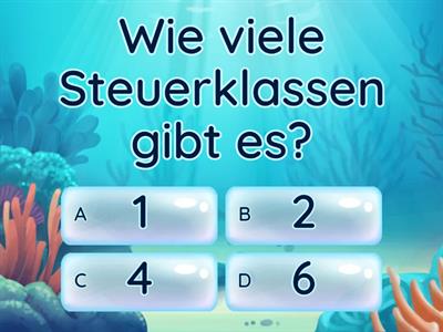 Steuer-Quiz