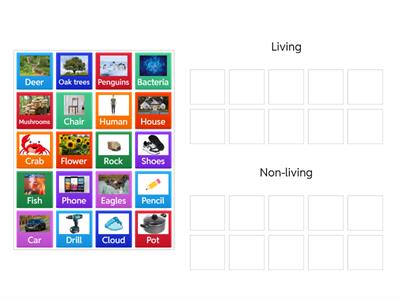 Living and Non-living Things (Year 2)
