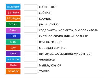 宠物 Питомцы, домашние животные на китайском языке (слово-перевод)