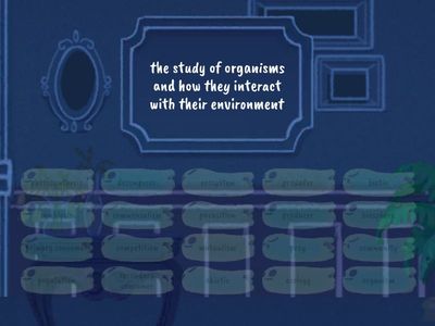 Ecosystem vocabulary