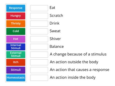 Matching- Word to Definition plus more!