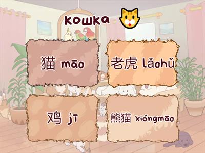 动物 Викторина