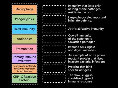Immunity-Basics