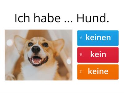  Ich habe kein- ... (Haustiere)