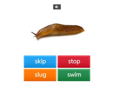 Initial S Blends - IMSE