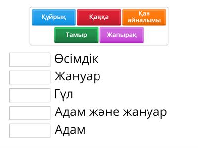 Табиғаттағы қыздардың жасырын камерасы