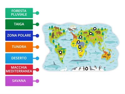 GLI AMBIENTI NATURALI DELLA TERRA