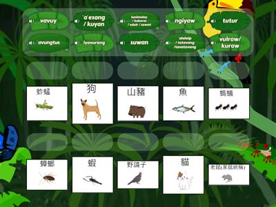 西群卑南語 - 動物