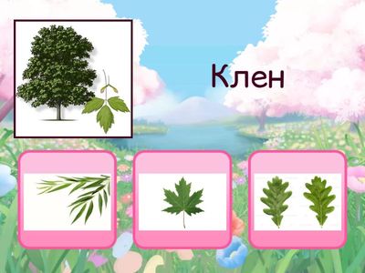 Який листок у дерева?