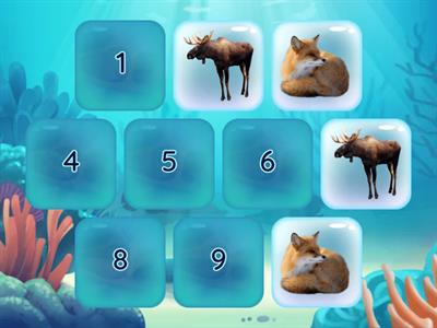 Автоматизація звука Л (тварини)