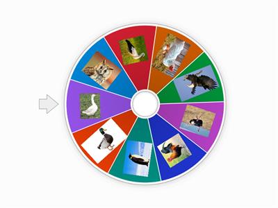 Крути колесо и пиши слова