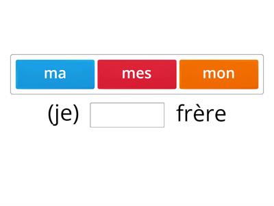 Les adjectifs possessifs (mon, ma, mes, ton, ta, tes, son, sa, ses)