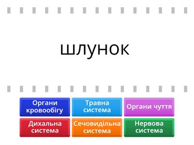 Пізнаємо природу. Організм людини. 5 клас