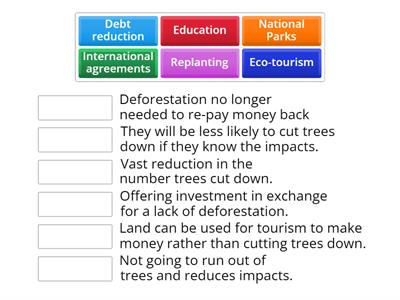 Conservation of the Rainforest 