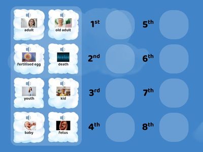 human growth!!!!!!!!!!( life cycle)