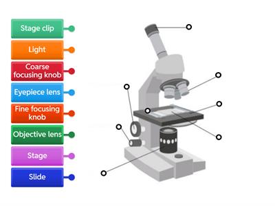 Labelling Microscope