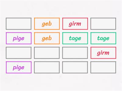 Matching Pairs 1  - Gentle Cindy Nonsense Words (Soft & Hard g) 