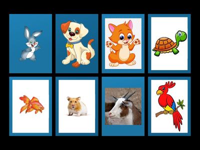 2 класс комарова pets 