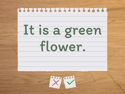 "to be" affirmative short-long form