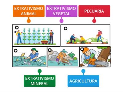 AEE - SETORES DA ECONOMIA - SETOR PRIMÁRIO