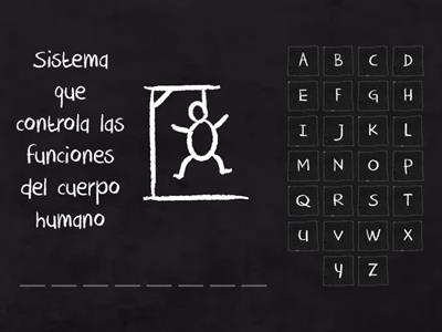   Ahorcado Sistema nervioso 
