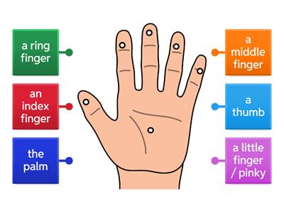Kid's Box 3 Unit 5 - My hand