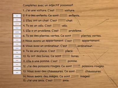 Les adjectifs possessifs 