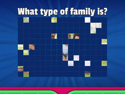 FAMILY TYPES - FIRST GRADE.