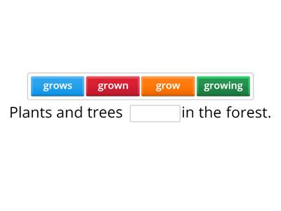 Subject-Verb-Object Agreement (review #1)