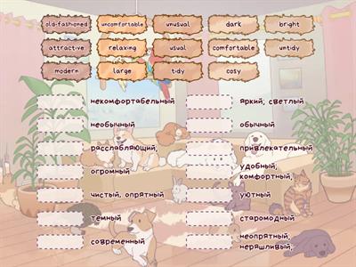 Solutions Elementary 9G Adjectives