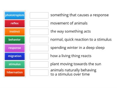 behavior vocab
