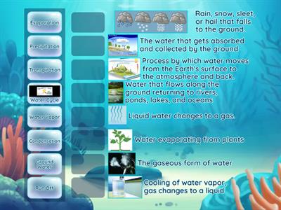  Water Cycle Match Up (5th Grade Science)