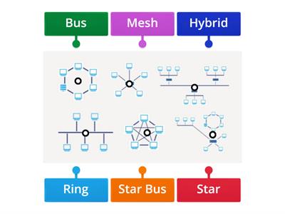 Networking Topologies