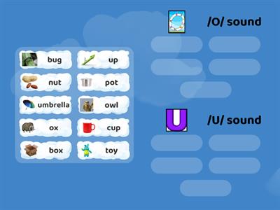 Short vowel /o/u/