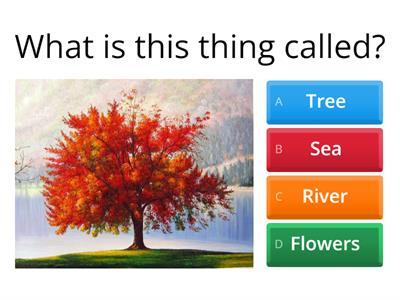 "Nature" Amit High School from Nikita 