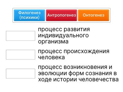 Общая психология