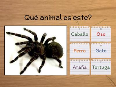 Los Animales 