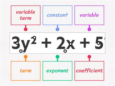 Parts of an Expression