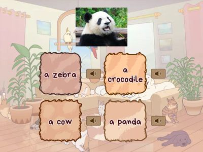 Animals (with real pictures) - part 3