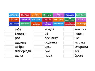 Das Gesicht-обличчя Deutsch-ukrainisch