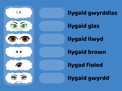  Eyes LLYGAID - paru