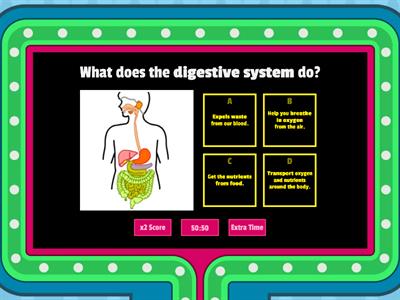 Body systems