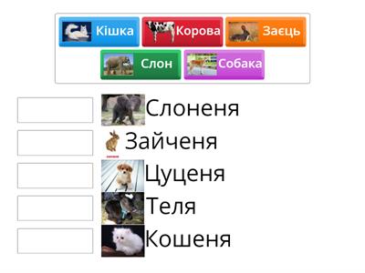 мама-дитина