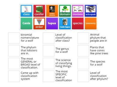 Classification match up!