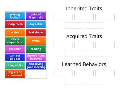Inherited/Learned/Acquired Group Sort 